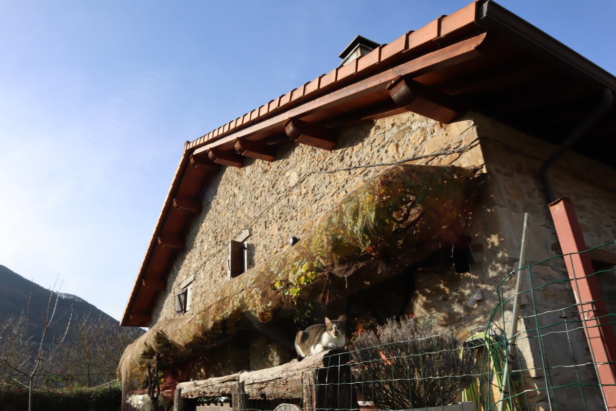 Rehabilitación de cubierta y fachada 2